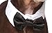 Rubie's Pet Bowtie and Cuff Set, Medium/Large