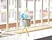 Succulent Planter Stand with Succulent Pot (3 inch Diameter with Drainage Hole), Set of Marble Design Ceramic Succulent Pot and Gold Iron Rack for Desk Table Windowsill Indoor Plant Decor