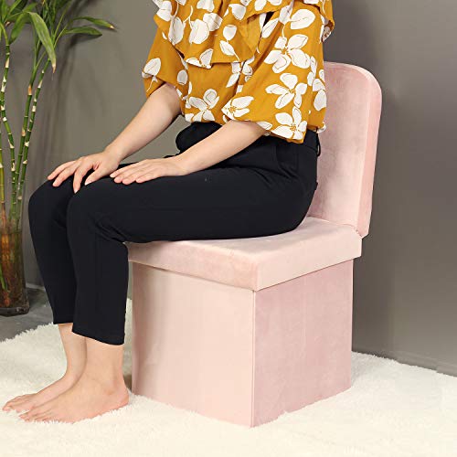 B FSOBEIIALEO Storage Ottoman with Seat Back, Velvet Ottoman Storage