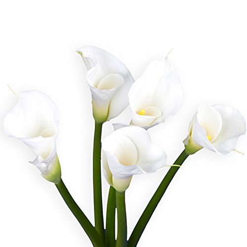 GlobalRose 18 Fresh Open Cut White Calla Lilies - Fresh Flowers For Birthdays, Weddings or Anniversary. - Thumbnail 3