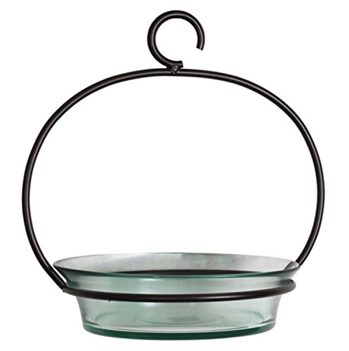 Glass Flat Bottom Hanging Wild Bird Baths G446M Clear Decorative Birdseed Container Feeder. Romantic Decor & More