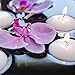 Floating Candles for Centerpieces - Pack of 30 White Unscented Long Burning (8 hrs) - White Floating Candles 3 inch Diameter for Weddings, Christmas Holiday Dinners, Round Candles, Home Décor