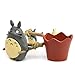 Totoro Doll Ornaments Mini Succulents Flower Pot