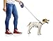 Retractable Dog Cat Pet Leash by Hertzko - 16 Foot Strong Nylon Ribbon - Extendable Lead for Small & Medium Dogs up to 44lbs - Comfortable Anti-Slip Handle