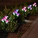 Solar Garden Stake Lights Outdoor 2-Pack LED Solar Charging Lights with 8 Lily Flowers Changing Multiple Colors Decorates Your Garden Balcony Patio Lawn Backyard(Purple and Red)