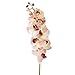 1 Piece Simulation Butterfly Orchid Artificial Flower Plant Home Decoration