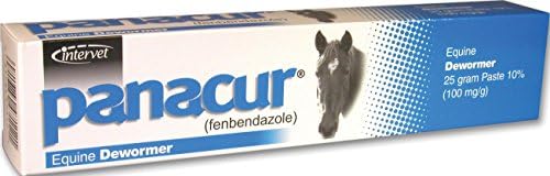 PANACUR PASTE EQUINE DEWORMER - 25 GRAM