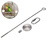 Bird Fruit Vegetable Holder Stainless Steel Vegetable Skewer Hanging Food Feed Tool for Parrot Budgies Parakeet Cockatiels Conure Lovebirds Finch Canary Pigeon Hamster Rat Gerbil Cage (7.9inch,20cm)