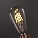 Edibulb LED Edison Bulbs Vintage Light Bulbs ST58 6W 2300K 3-Pack
