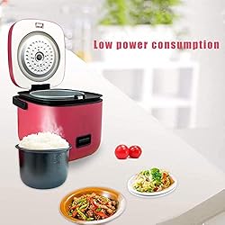 Rice Cooker Small with Removable Non-stick