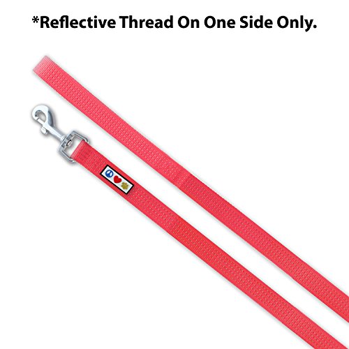 Pawtitas Pet / Puppy Reflective Dog Leash Extra Small / Small 6 ft. Red