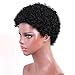 TINY LANA Afro Wigs Curly Hair Wigs for Black Woman Short Kinky Wig with Brazilian Remy Human Hair Black Perruque Afro Naturelle Wigs + Free Wig Cap