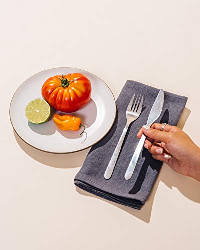 Caldo Linen Dinner Napkins - Soft and Durable Cloth - 4 Pack - 20x20 inch (Slate)