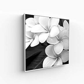 Canvas Wall Art for Living Room, Bedroom Monochrome Image Framed Canvas Prints for Home Decoration Ready to Hang - 16x16 inches