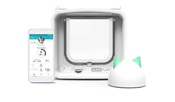 does flea shampoo kill eggs