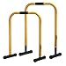 Wacces Heavy Duty Functional Fitness Station Stabilizer Dip Stands