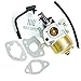 1UQ Carburetor Carb for Cummins Onan HomeSite Power 2400 6.5HP 2000 2200 Watt Gas Generator