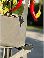 Edenjardi Huerto Urbano de Cuatro Niveles en Color Gris: Amazon.es ...