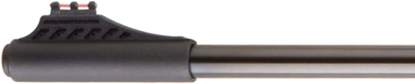 Ruger Blackhawk Combo air rifle : Airsoft Rifles : Sports & Outdoors