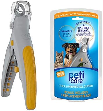 alliance of therapy dogs renewal