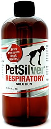 Petsilver Respiratory Solution With Chelated Silver For Cats And Dogs Made In Usa Use With Nebulizer Or Syringe Fragrance And Flavor Free Pet Supplies Amazon Com