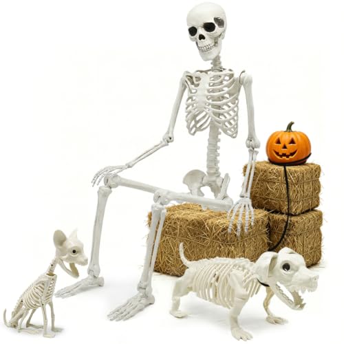 Halloween Full Size Skeleton Dog Cat