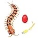 LUCKSTAR Remote Control Centipede Toy - Rechargable Electric Infrared RC Scolopendra - Simulation Fake Creepy-crawly Chilopod Toy for Children