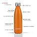 AOMERLY Insulated Water Bottle, Double Wall Vacuum Stainless Steel Water Bottle, S'well Cola Shape, No sweating, BPA Free, Keeps Cold & Hot, 17oz