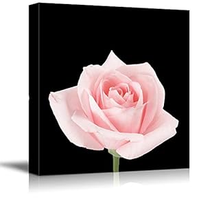 Wall26-Canvas Wall Art-Black Background Flower Theme for Living Room-Giclee Painting Wall Bedroom Living House Decoration Home Art - 12x12 inches