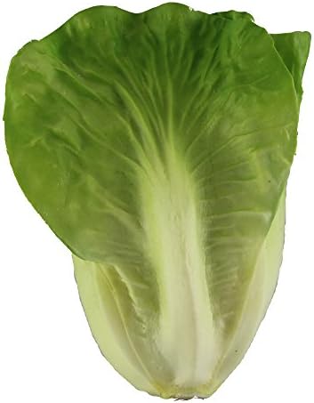 BVI Decor Nearly Natural Lettuce Artificial