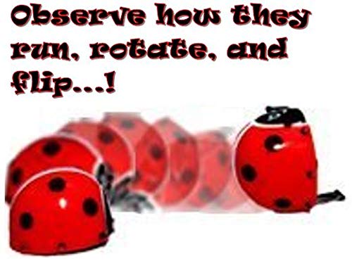 4 Dazzling+Toys+Flipping+Wind+up+Lady