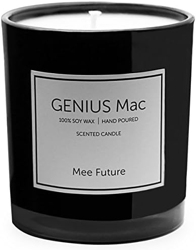 Scented Candles 9.8 oz Soy Wax 78 Hours( Lime &amp; Spearmint ) Refreshing Summer Aroma - Luxury Handmade Aromatherapy Candles by Mee Future