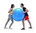Gymnic Physio Exercise Ball, Blue (95 cm)