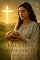 Livro O PÃO, A TÚNICA E O AMANHECER