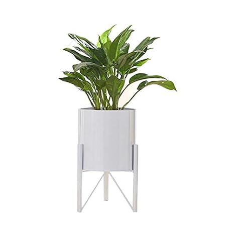 Marco De Flores Marco Nórdico De Flores Minimalista Salón Blanco ...