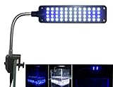 Mingdak Aquarium Light for Fish Tanks Clip on Fish Tank Light 48 LEDs White & Blue