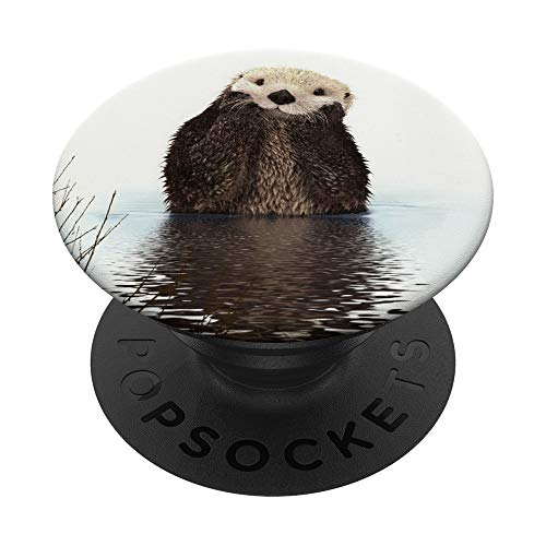 Sea Otters shop Kuwait | Buy Sea Otters products online Kuwait | Whizzcart