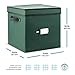 Zober Christmas Ornament Storage Box - Stores 64 Ornaments - Non-Woven, Tear- Proof Christmas Ornament Storage Containers - 3 Inch Cube Compartments - Green