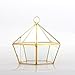 NCYP Modern Clear Glass Jewelry Box with Swing Lid, Pentagon Shape Closed Geometric Terrarium Planter Pot for Succulent Plant, Fern, Wedding Decor, Gold Container (No Plants)