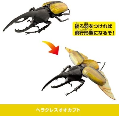 Amazon 昆虫の森 王座決定戦 2 ヘラクレスオオカブト 単品 通販 Amazon 昆虫の森 王座決定戦 2 ヘラクレスオオカブト 単品 通販