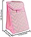 bogo Brands Soft-Sided Insulated Lunch Kit Cooler Tote Bag Pink Chevron Striped On-The-Go Loncheras Lunchbag (1 Pack)