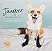 Juniper: The Happiest Fox 2019 Wall Calendar