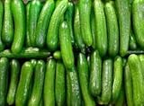 30seeds ORGANICALLY GROWN Persian Beit Alpha Cucumber Seeds Heirloom NON-GMO
