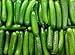 30seeds ORGANICALLY GROWN Persian Beit Alpha Cucumber Seeds Heirloom NON-GMO