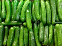 30seeds ORGANICALLY GROWN Persian Beit Alpha Cucumber Seeds Heirloom NON-GMO