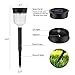 Aityvert Solar Pathway Lights, LED Solar Lights Outdoor Color Changing Solar Garden Lights Waterproof Auto On/Off Multi Color Solar Powered Landscape Lighting Path Lights for Patio Walkway, 6 Pack