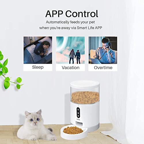 Peteme Automatic Cat Feeder, Smart Pet Feeder for Small Animals, Cat