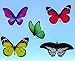 Quotidian Products Butterfly Window Clings-20xAnti Collision Decal to Prevent Bird Strikes on Doors & Windows-Static,UV Resistant & Non Adhesive Vinyl Cling Deterrent Decal & Glass Decor to Alert Bird