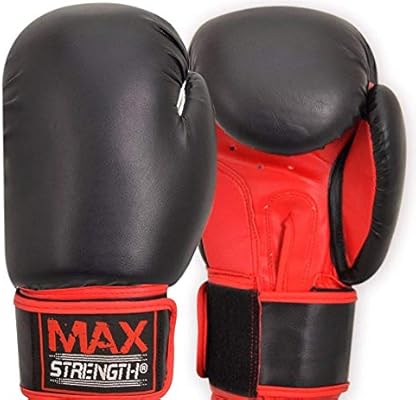 maxx pro boxing gear punch bag