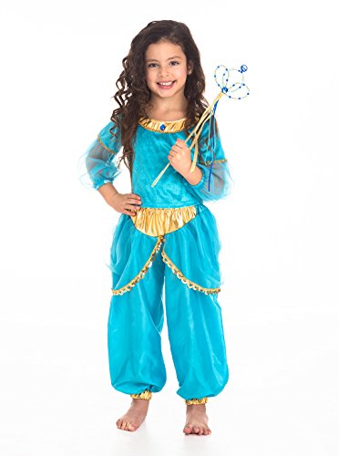 Little Adventures Traditional Arabian Princess Girls Costume - Medium (3-5 yrs)